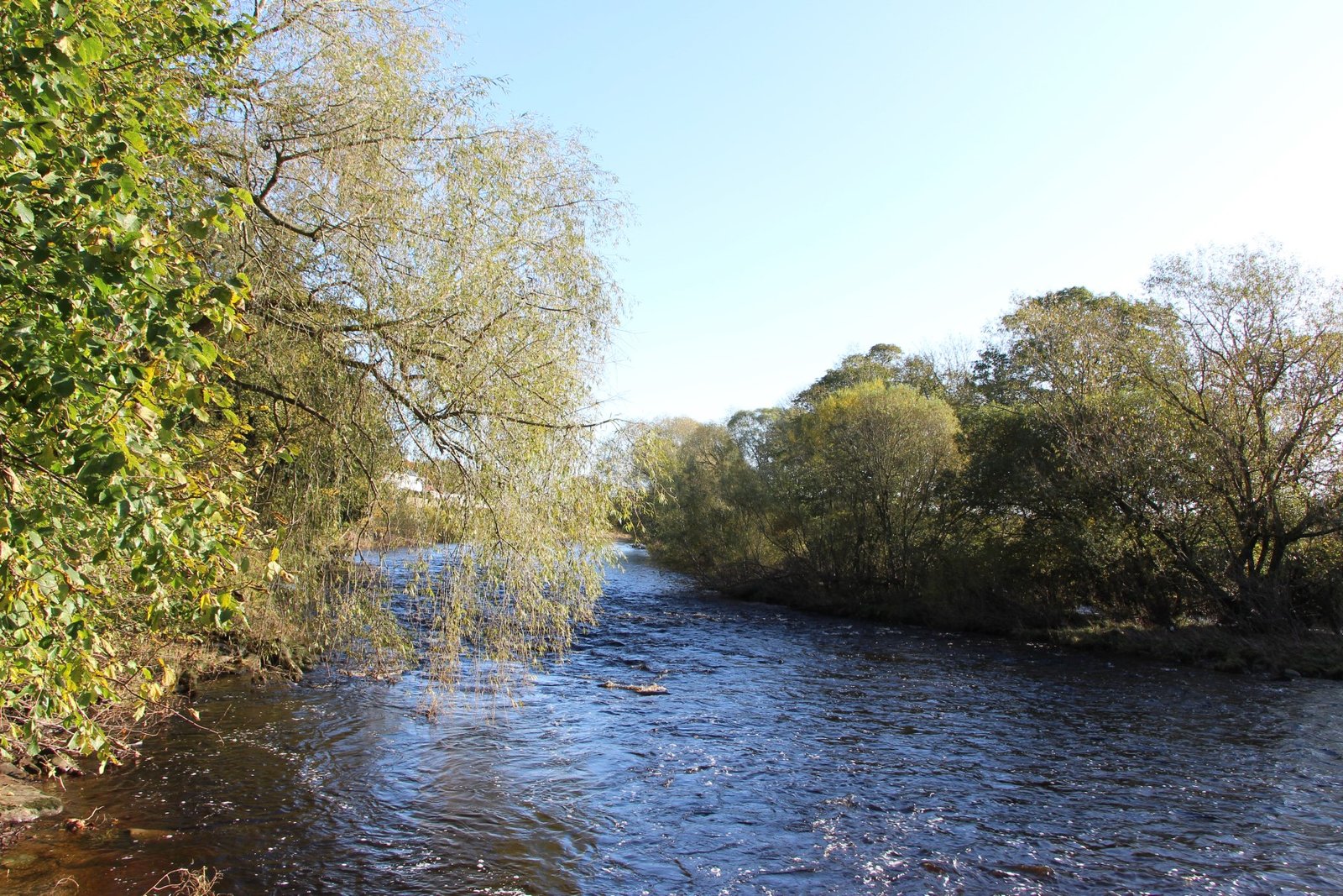 River Tees Gainford Riverside Trust